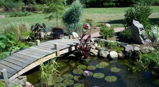 Картинка по теме - как сделать пруд