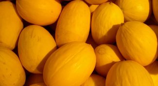 Картинка по теме - как сажать дыни