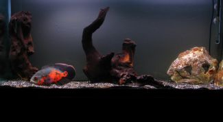 Картинка по теме - как уменьшить шум компрессора