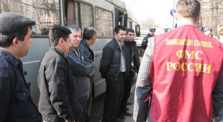 Картинка по теме - как проверить подлинность разрешения на работу