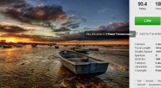 Картинка по теме - как скопировать защищенную картинку