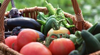 Картинка по теме - как приготовить салат из огурцов с помидорами