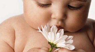 Картинка по теме - как мыть детские бутылочки