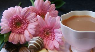 Картинка по теме - как заваривать египетский желтый чай