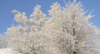 Картинка по теме - как снимать зимний пейзаж