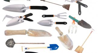 Картинка по теме - как выбрать лопату