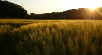 Картинка по теме - как определить время суток