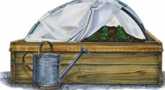 Картинка по теме - как поставить парник