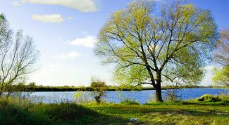 Картинка по теме - как получить земельный участок в москве