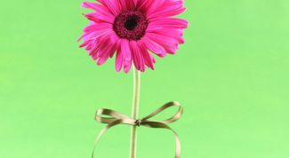 Картинка по теме - как изобразить цветок