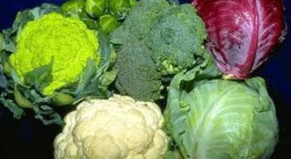 Картинка по теме - как хранить капусту в холодильнике