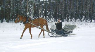 Картинка по теме - как сделать конные сани