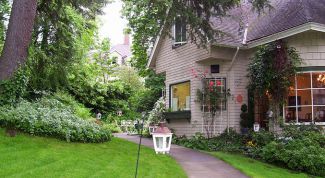 Картинка по теме - как сделать газон на даче