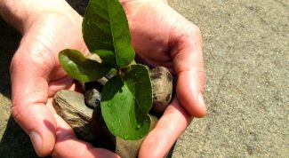 Картинка по теме - как справиться с невезением