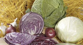 Картинка по теме - как квасить капусту рассолом