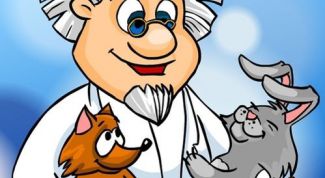 Картинка по теме - как взять больничный отпуск