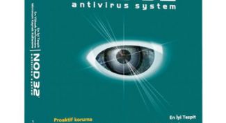 Картинка по теме - как выключить nod