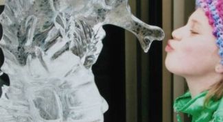 Картинка по теме - как сделать из льда формы