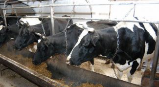 Картинка по теме - как создать свое сельское хозяйство