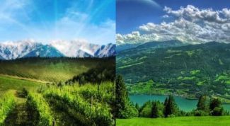 Картинка по теме - как склеить два изображения