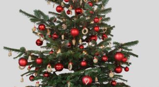 Картинка по теме - как сохранить дольше живую елку