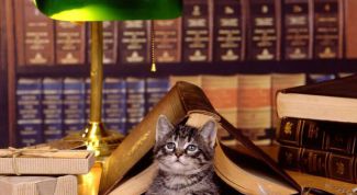 Картинка по теме - как расширить словарный запас