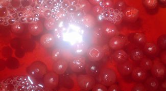 Картинка по теме - как приготовить морс из брусники