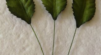 Картинка по теме - как делать бумагу из листьев