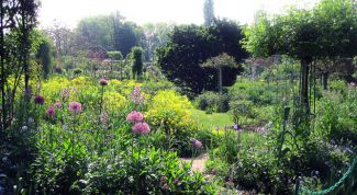 Картинка по теме - как улучшить качество рисунка