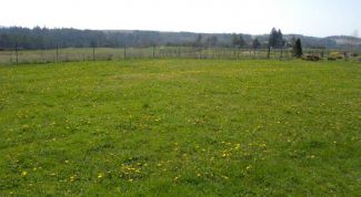 Картинка по теме - как продать долю участка