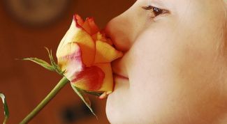 Картинка по теме - как освежить воздух в квартире