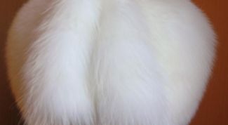 Картинка по теме - как почистить шапку из песца