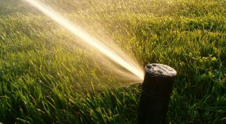 Картинка по теме - как поливать газон