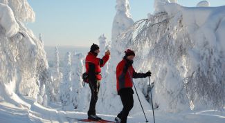 Картинка по теме - как собирать крепления на лыжи