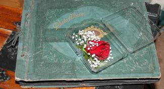 Картинка по теме - как подписать фотоальбом