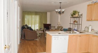 Картинка по теме - как соединить зал с кухней