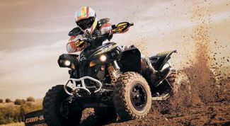 Картинка по теме - как организовать прокат квадроцикла