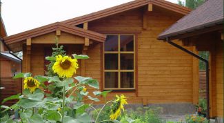 Картинка по теме - как снять дачу на лето