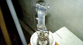 Картинка по теме - как использовать кварцевую лампу