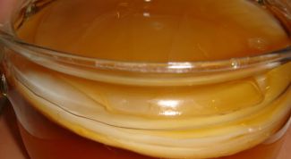 Картинка по теме - как хранить чайный гриб