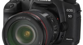 Картинка по теме - как выбрать фотоаппарат зеркальный профессиональный