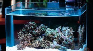 Картинка по теме - как измерить жесткость воды в аквариуме