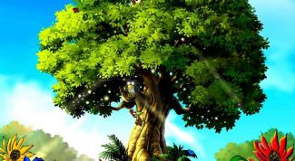 Картинка по теме - как поменять заставку на экране