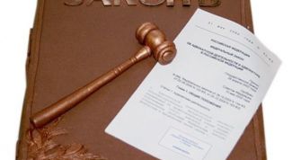 Картинка по теме - как проверить законность решения