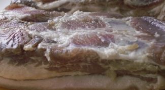 Картинка по теме - как засолить грудинку