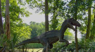 Картинка по теме - как получить страйдера