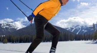 Картинка по теме - как правильно выбрать лыжи