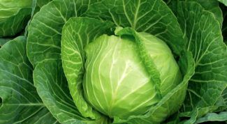 Картинка по теме - как избавиться от килы