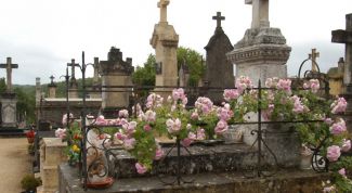 Картинка по теме - как оформить свидетельство о смерти