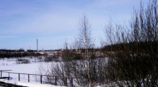 Картинка по теме - как предсказать погоду по народным приметам